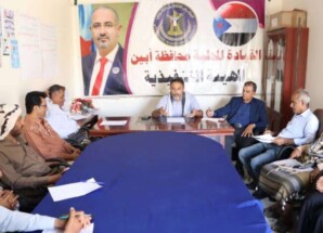 الحييد يطالب بتوحيد الصف الجنوبي وتعزيز التلاحم الوطني