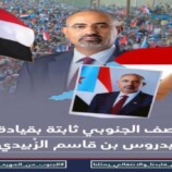 من المهرة إلى باب المندب.. جنوبٌ لا يُختصر ولا يُدار بالوصاية