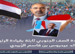 من المهرة إلى باب المندب.. جنوبٌ لا يُختصر ولا يُدار بالوصاية