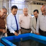 الوكيل غازي لحمر يتفقد مركز تربية الأحياء المائية والاستزراع السمكي في عدن