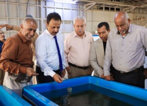 الوكيل غازي لحمر يتفقد مركز تربية الأحياء المائية والاستزراع السمكي في عدن