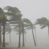 الأرصاد تحذر من أمطار متفرقة ورياح نشطة واضطرابات بحرية في السواحل والمرتفعات