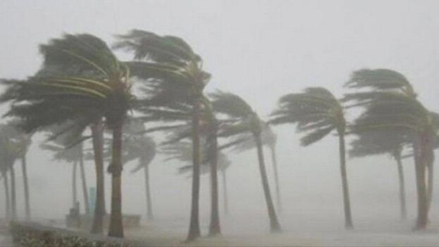 الأرصاد تحذر من أمطار متفرقة ورياح نشطة واضطرابات بحرية في السواحل والمرتفعات