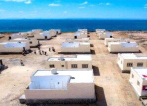 ناشط إعلامي في سقطرى : بصمات اماراتية في الجزيرة تخرس السنتكم المسمومة