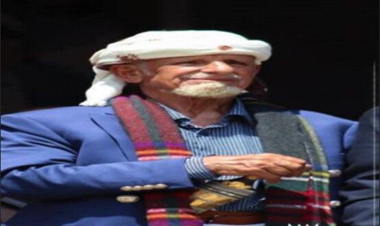 الشيخ عبدالرب النقيب يشيد بصمود الجنوب