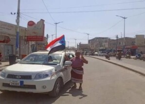 حملة إعلامية تحشد الجماهير لمليونية الوفاء بشوارع زنجبار وجعار