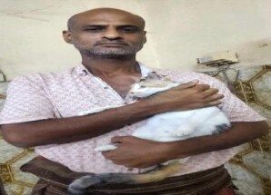 مناشدة إنسانية لدعم ملجأ خيري للقطط في مديرية المنصورة