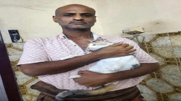 مناشدة إنسانية لدعم ملجأ خيري للقطط في مديرية المنصورة