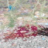 كشف تفاصيل مقتل شاب في شحير وضبط المتهمين في غيل باوزير