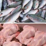  أسعار الأسماك والدواجن بأسواق وادي حضرموت