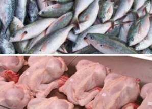  أسعار الأسماك والدواجن بأسواق وادي حضرموت