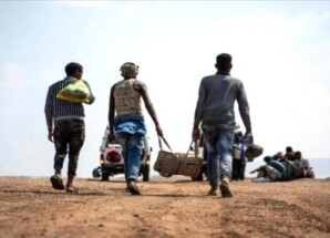 وصول 200 مهاجر إثيوبي إلى سواحل شبوة في خامس دفعة خلال فبراير