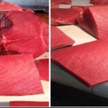 أسعار الأسماك والدجاج في أسواق مدينة سيئون اليوم الثلاثاء