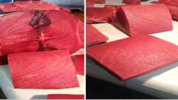 أسعار الأسماك والدجاج في أسواق مدينة سيئون اليوم الثلاثاء