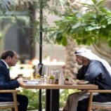 رئيس الإمارات ونظيره المصري يبحثان التطورات في المنطقة