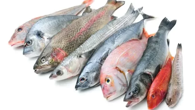 أسعار الأسماك والدجاج الطازج بمدينة سيئون وضواحيها لهذا اليوم الأحد