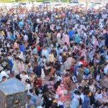 0033e289-ac01-4ef4-8df0-fb6bfaae835d