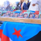 3f462e1f-3fe3-46f2-8917-1c44db86993b