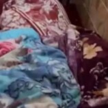 وفاة امرأة وأطفالها في حادث تسرب غاز في لحج