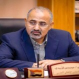 الالتفاف الشعبي خلف الرئيس الزبيدي يعزز مسار استعادة دولة الجنوب