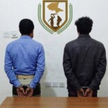 في إنجاز أمني جديد.. اللواء الثاني دفاع شبوة يلقي القبض على مطلوبين بجرائم إرهابية وتفجيرات