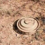 مقتل ثلاثة أطفال وإصابة رابع بانفجار لغم أرضي في حجة