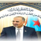 رئيس منسقية الانتقالي في جامعة أبين يهنئ الرئيس الزُبيدي بحلول عيد الفطر المبارك