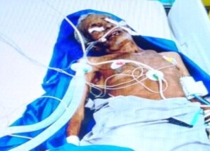 اعتداء على مسن في الحديدة بزعم الإفطار يؤدي إلى وفاته