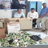 صحة البيئة بالمنصورة تصادر كميات من شمة الحوت