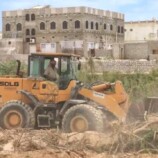 إزالة أشجار السيسبان من أودية المهرة استعدادًا للمنخفض الجوي المحتمل