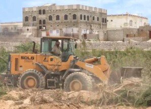 إزالة أشجار السيسبان من أودية المهرة استعدادًا للمنخفض الجوي المحتمل