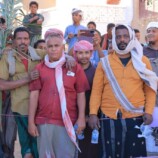 b65d9e0f-8332-45d1-b305-3b0331b449b8