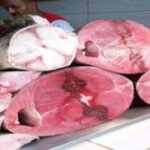 أسعار الأسماك الطازجة المتداولة في مدينة سيؤون حسب محلات الطوعري للأسماك لهذا اليوم الأربعاء 11 مارس 2026م