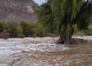 أمطار غزيرة تشهدها مدن وادي حضرموت 
