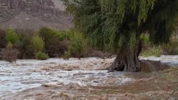 أمطار غزيرة تشهدها مدن وادي حضرموت 