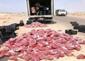 صحة البيئة يعلن إتلاف 1500 كيلو جرام من الفراولة الفاسدة في عدن