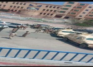 ثلاثة شهداء برصاص القوات المدعومة سعوديا في المكلا