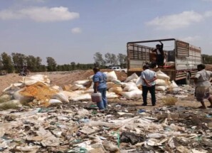 إتلاف 6 أطنان من الفول السوداني الفاسد في المنصورة