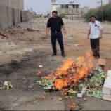 إتلاف 200 عبوة من شمة الحوت في المنصورة