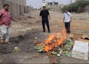 إتلاف 200 عبوة من شمة الحوت في المنصورة