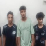 شرطة المعلا تضبط عصابة متورطة في سرقة الأغنام