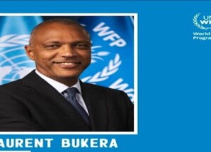 الأمم المتحدة تعيّن منسقًا إنسانيًا جديدًا في اليمن