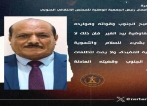 هرهرة يحذر من تحويل الجنوب إلى ورقة تفاوضية بيد أطراف أخرى