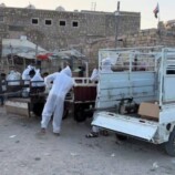 المجلس الانتقالي بالشحر يدشّن حملة رش ضبابي شاملة لمكافحة الحشرات وتعزيز الصحة العامة