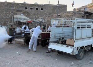 المجلس الانتقالي بالشحر يدشّن حملة رش ضبابي شاملة لمكافحة الحشرات وتعزيز الصحة العامة