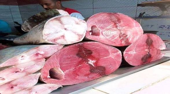 استقرار نسبي في أسعار الأسماك والدواجن بسيئون اليوم