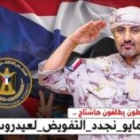 إطلاق حملة إلكترونية لتجديد التفويض تزامناً مع الذكرى التاسعة لإعلان عدن