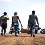 72 ألف مهاجر أفريقي يصلون اليمن خلال 4 أشهر