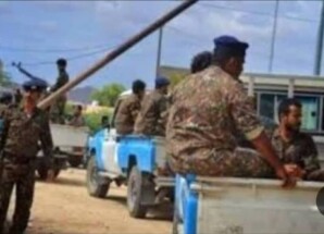 أمن مودية يضبط متهمين بجريمة قتل خارج إطار القانون