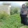 مسلح حوثي يهدم منزل مسنة في محافظة اب اليمنية